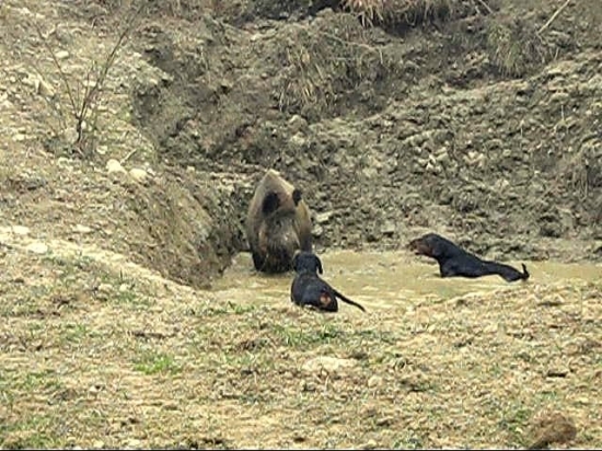 ... súboj v hlbočine...