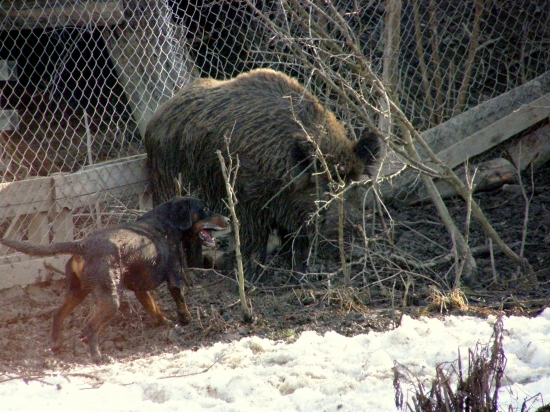 ...skúška odvahy...