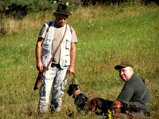 ...ako to asi dopadne...