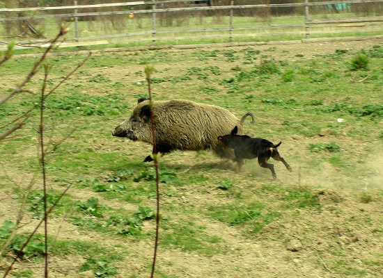 ...trošku na kontakt...