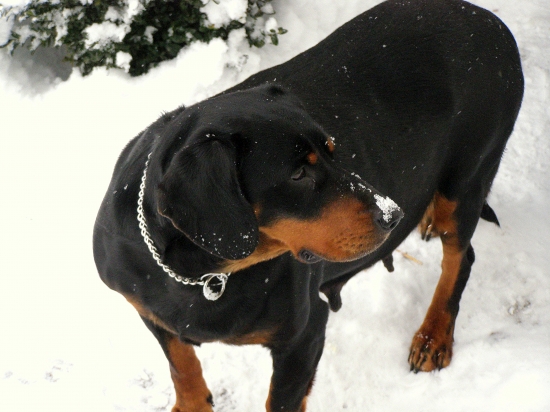 ...trošku zasnežilo...