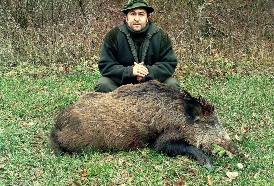 ...trošku šťastia a diviak je môj...