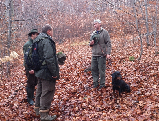 ...po ukončení dohľadávky...
