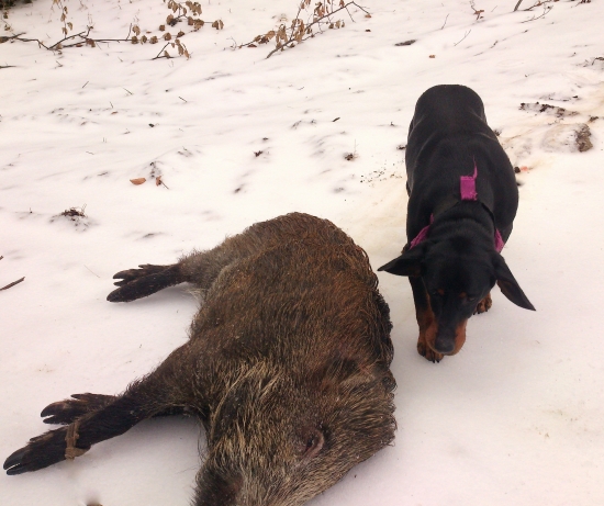 ...keď kopov zas zvíťazil...