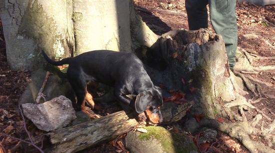 ...naša 5 mesačná Cara...