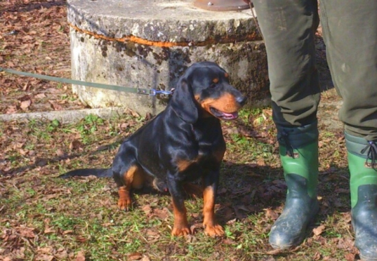 ...Beny z Uhlišťa...