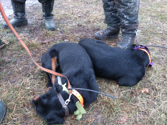 ...po náročných pohonoch...
