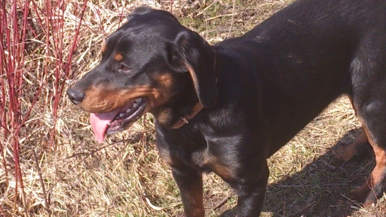 ...Cara,začína sa s výcvikom...