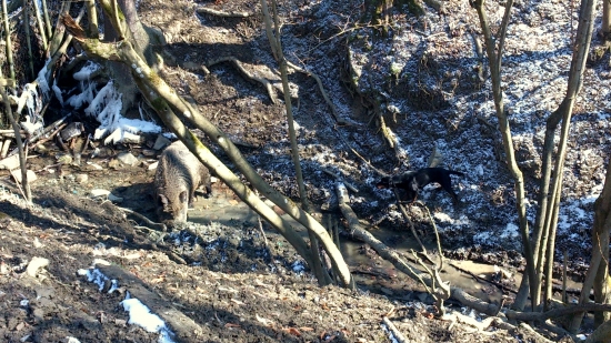 ...skúška z odvahy...