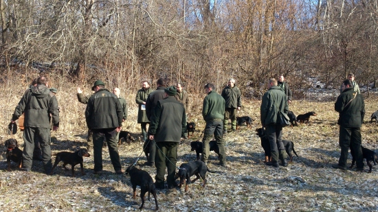 ...kopoviari a ich zverenci...