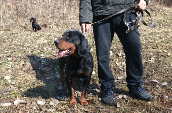 ...kopov-skvelý spoločník...