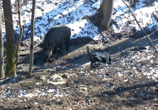 ...zadržanie v potoku...