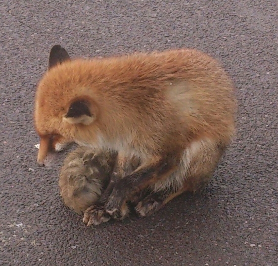 ...blízke stretnutie dnes ráno...