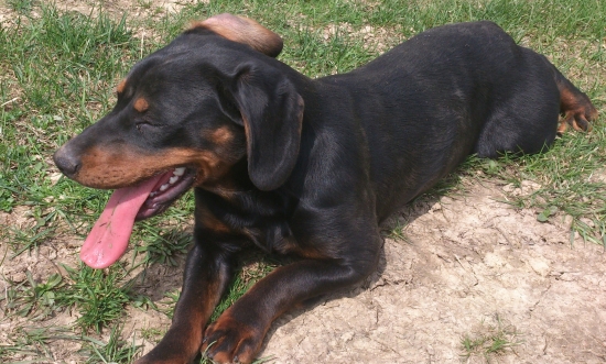 ...7 mesačná Cara...