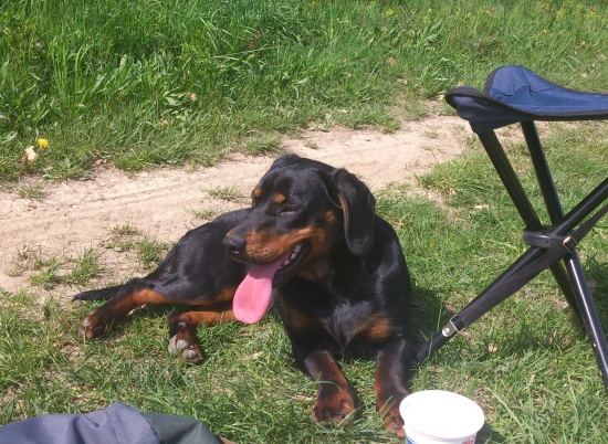 ...Cara z Uhlišťa,dnešný výcvik ZA nami...