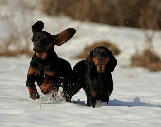 ...v mrazivom dni...