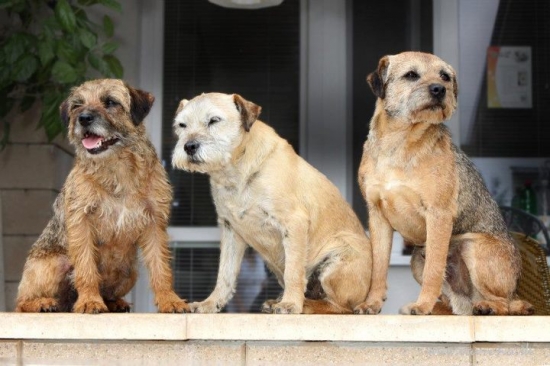 ...bordáčske pohľady...