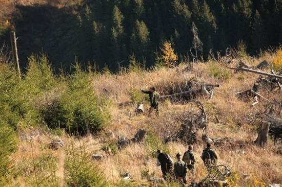 ...a išlo sa dohľadávať...