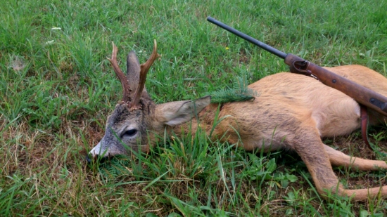 ...dnešná trojka...