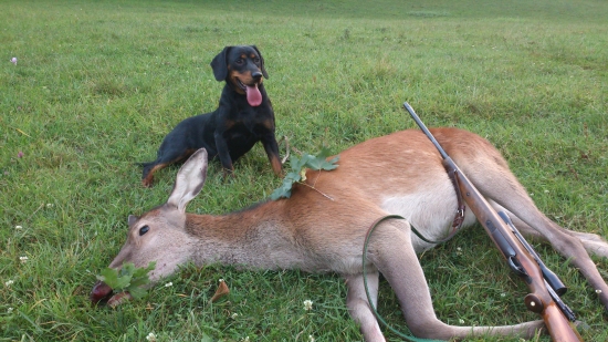 ...spokojnosť pri úlovku...