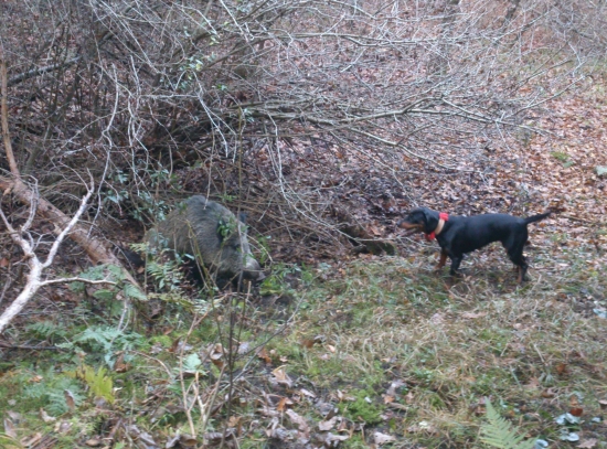 ...na konci dohľadávky...
