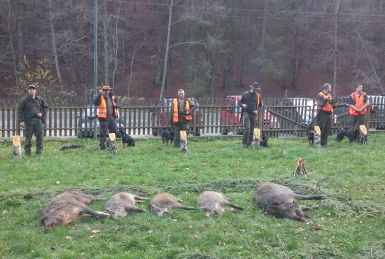 ...diviak,kopov,lovec a výsledok...