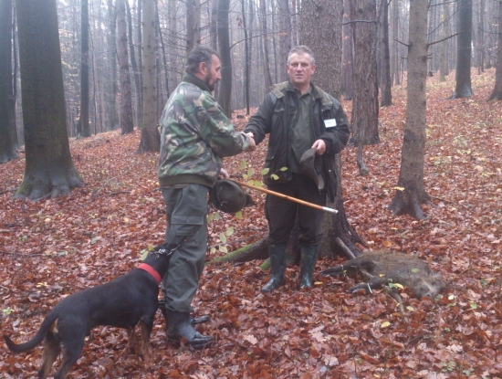 ...po úspešnom dohľadaní...