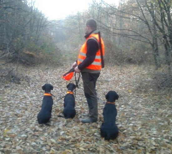 ...pohľad jedným smerom...