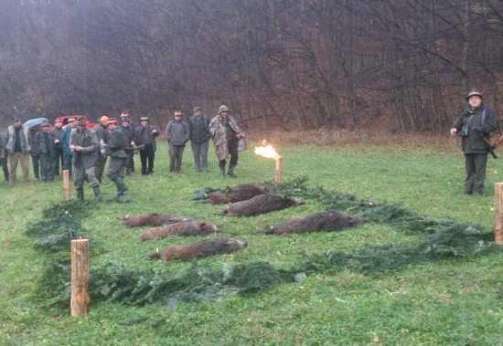 ...a výrad sa mohol začať...