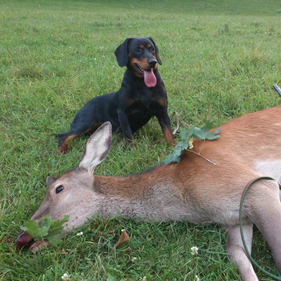 ...kopovka a úlovok...