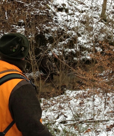 ...ešte živý o chvíľu úlovok...