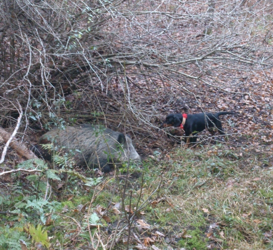 ...ešte sa nakoniec zdvihol...