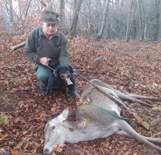 ...po dohľadaní jelenice...