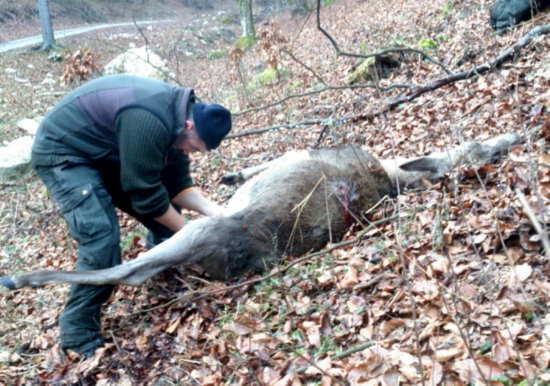 ...zas som si raz ruky ohrial...