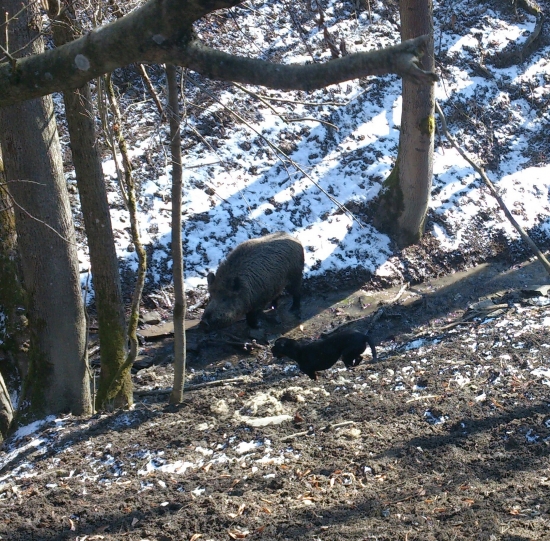 ...kopov a čierny rytier...