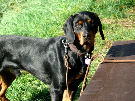 ...Beni z Uhlišťa po skúškach...