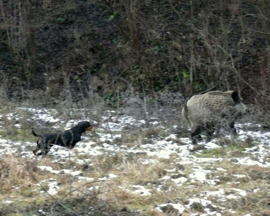 ...plnou parou vpred...