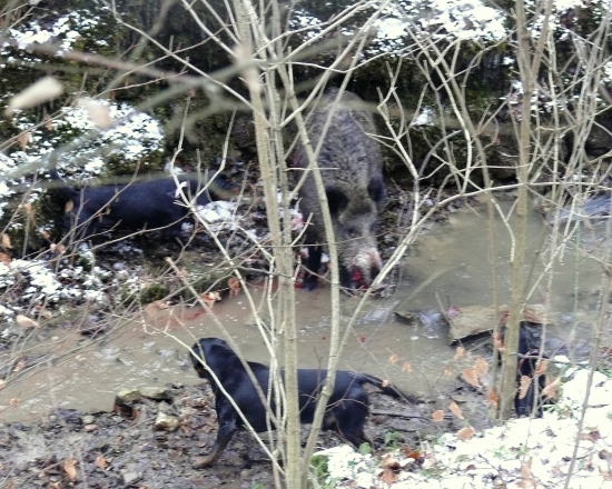 ...kto z koho, lenže kopov bol v presile...