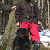 ...šteniatko a malý školák...