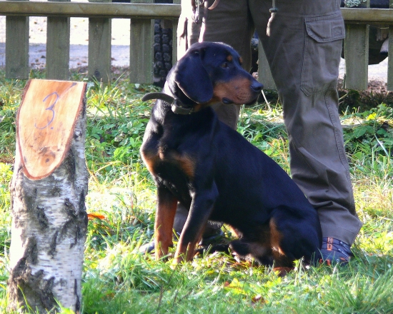 ...slovenský kopov pri zahájení skúšok...