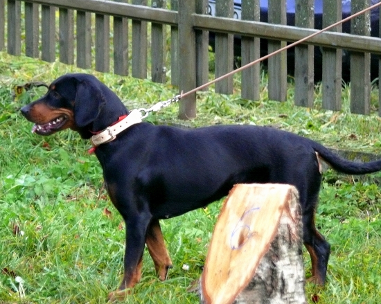 ...kopovka pripravená na SD...