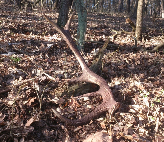 ...päť výsadový...