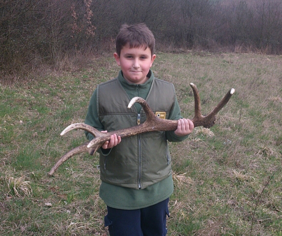 ...ozdoba z mladšieho dvanástoráka...