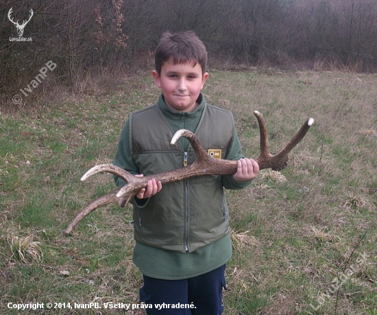 ...ozdoba z mladšieho dvanástoráka...
