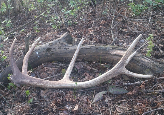 ...6. zhod v tejto sezóne...