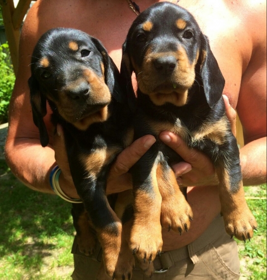 ...Dan a Don z Uhlišťa...