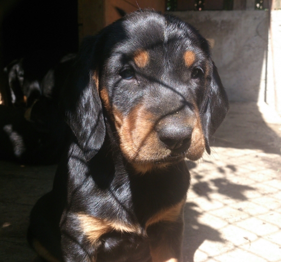 ...Dan má dnes 6 tyždnov...