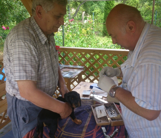 ...tetovanie,čipovanie,očkovanie a majú pokoj...