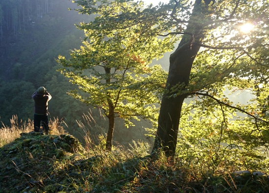 ...Z dnešnej rannej revačky...