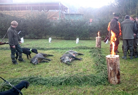 ...kopov zas zvíťazil...